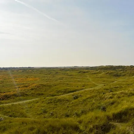 Lakolk Va Denmark
